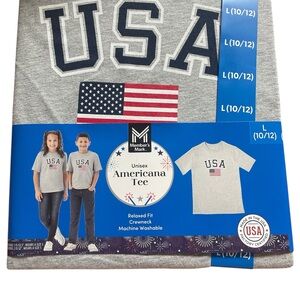 Gray USA Americana Tee